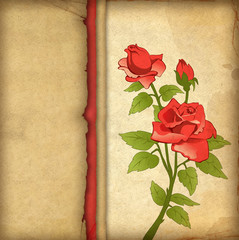 Greeting card with drawing of red rose