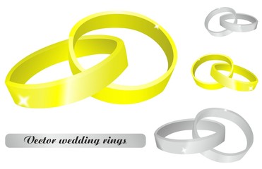 Vector Wedding rings