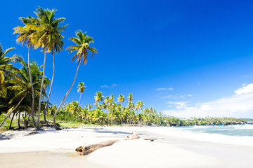 Cumana Bay, Trinidad