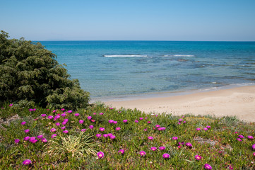 Sardinia, Italy: Lu bagnu beach in Castelsardo