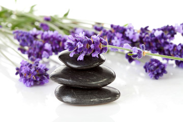 Fototapeta na wymiar black pebbles stones and lavender flowers