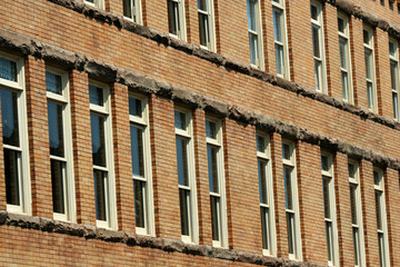 Rows of windows on a building