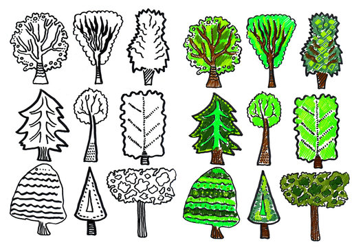 Collection of decorative trees.
