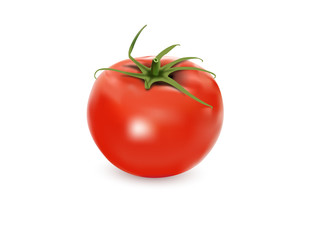 Tomato vector