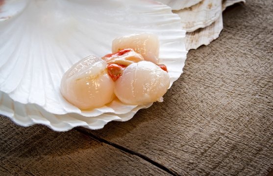 Coquilles saint-jacques,corail