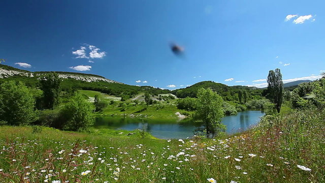 valley with river and chamomile flowers