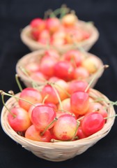 Cerises (bigarreau napoléon)