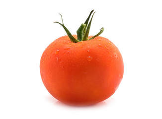 fresh tomato