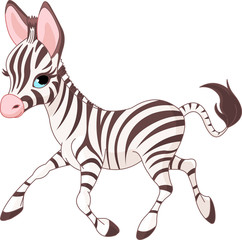 Fototapeta na wymiar Cute dziecka Zebra działa