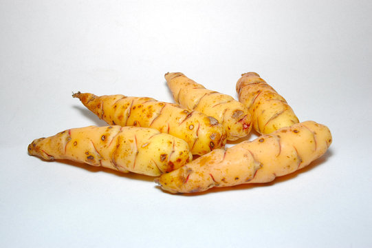 MASHUA Tropaeolum tuberosum