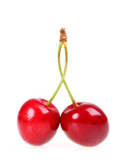 Kirschen isoliert vor weissem Hintergrund