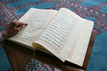 Fototapeta premium young girl reading the Koran