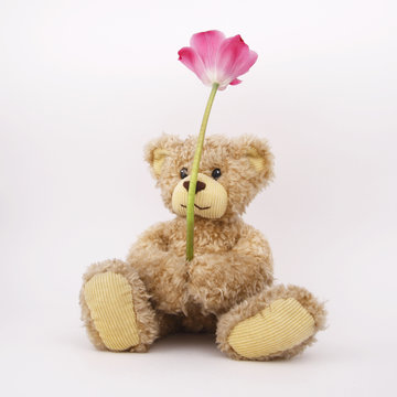 Cute cilly looking toy bear with flower