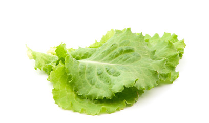 lettuce leaves
