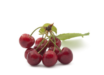 cherry