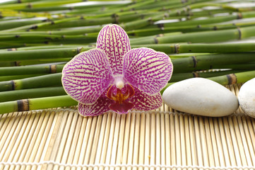 spa frame from, pink orchid and white stones on mat