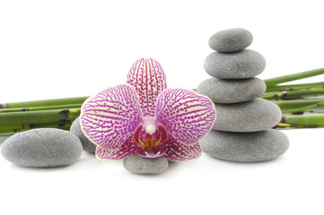 Spa stacked of stones with orchid and bamboo grove
