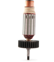 Copper Coils inside Electric Motor