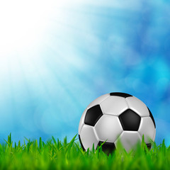 Naklejka premium football in green grass over a blue sky