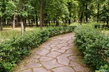 Каменная дорожка в парке отдыха
