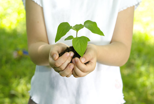 Girl with plant