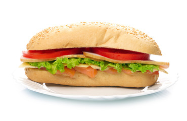 Big sandwich on white plate
