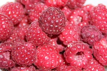 Framboises