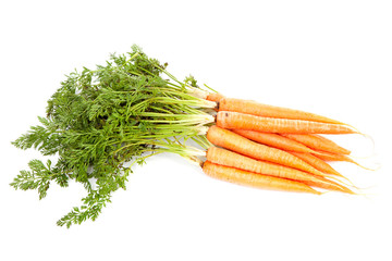 bunch of fresh carrots over white background