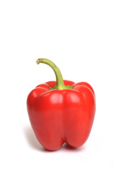 Sweet Pepper,