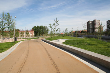 Camino