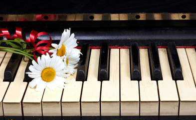 Flowers on the old piano