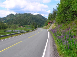 Roads in the Norwegian mountains
