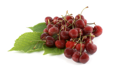 cherry