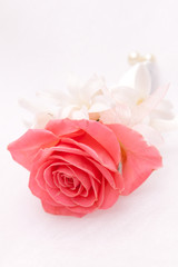 boutonniere of pink roses
