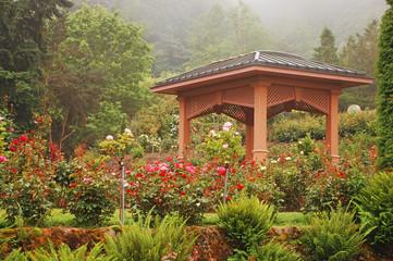 Rose garden gazebo