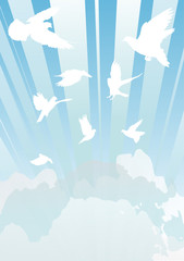 white doves in cloud sky