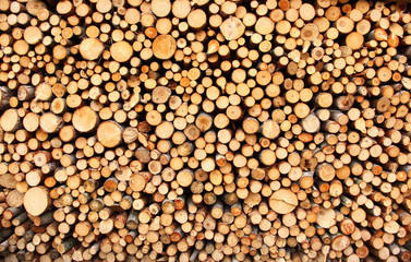 Pile of wood