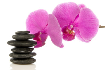 Fototapeta na wymiar pink orchid and stones over a white background.