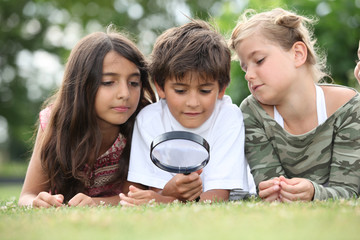 Children looking at insects