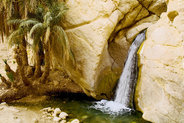 chebika oasis, tunisia