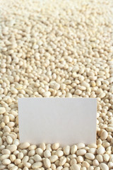 Raw navy beans (haricot/ Boston/ pea/ Yankee beans)