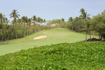 Golf fairway in Maui, Hawaii overlooking Pacific Ocean