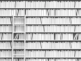 Foto op Plexiglas Bibliotheek Boekenplank en ladder
