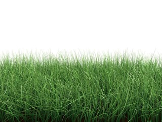 green grass moving in the wind