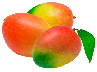 Mango isolated on white background