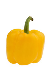 gelber Paprika