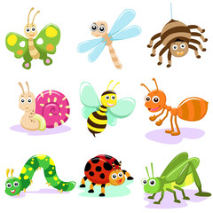 insect CARTOON SET