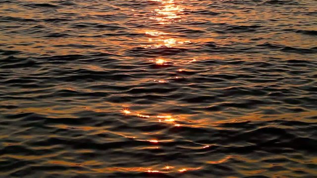 Movimento al tramonto