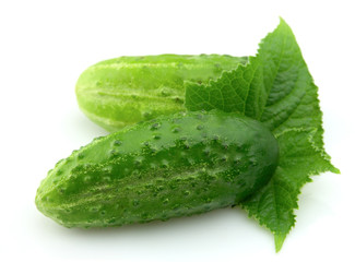 Cucumber with leafs