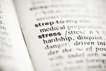 Dictionary definition of the word Stress